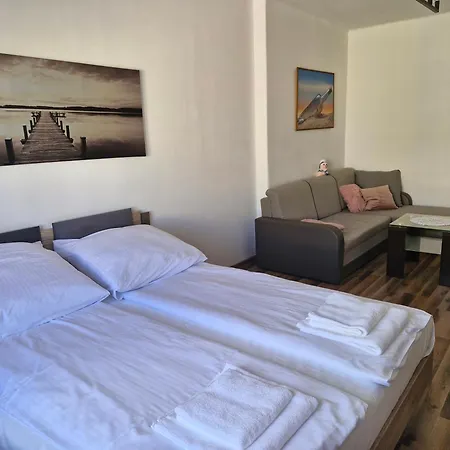 Apartament Slaska *