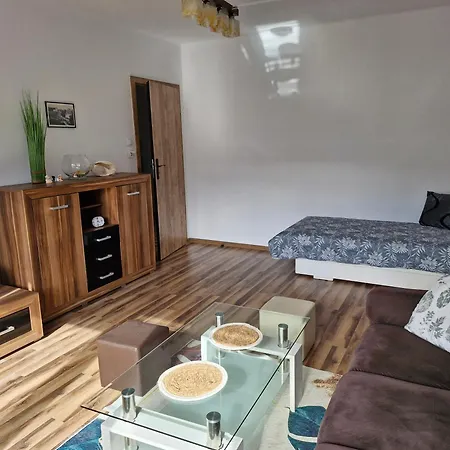 Apartament Apartament Slaska *